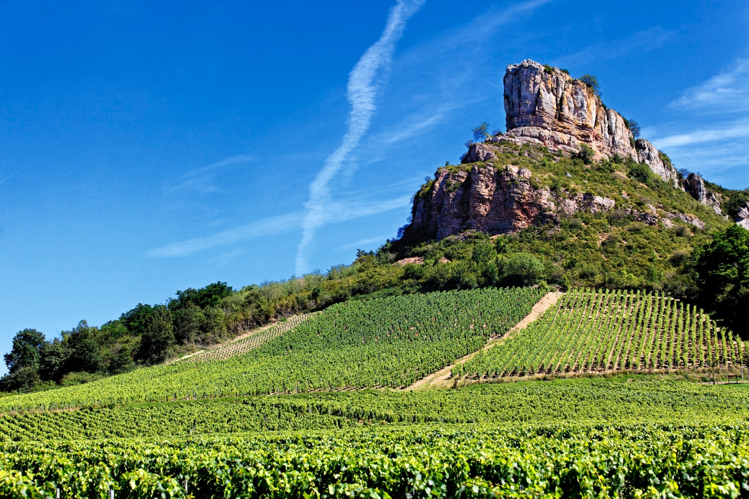 les régions viticoles de france