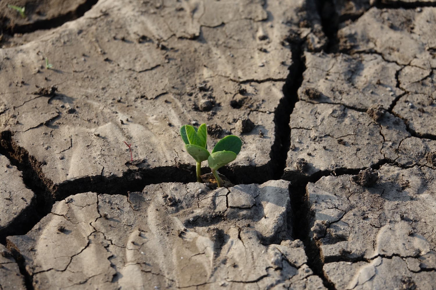 changement climatique en france