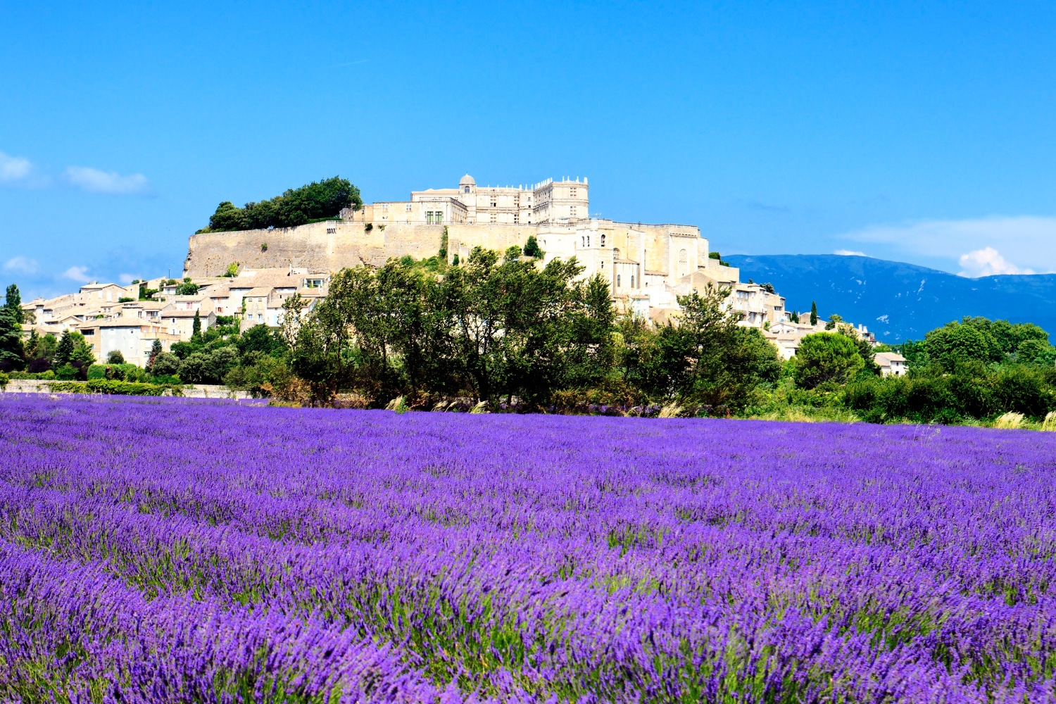 drôme provençale