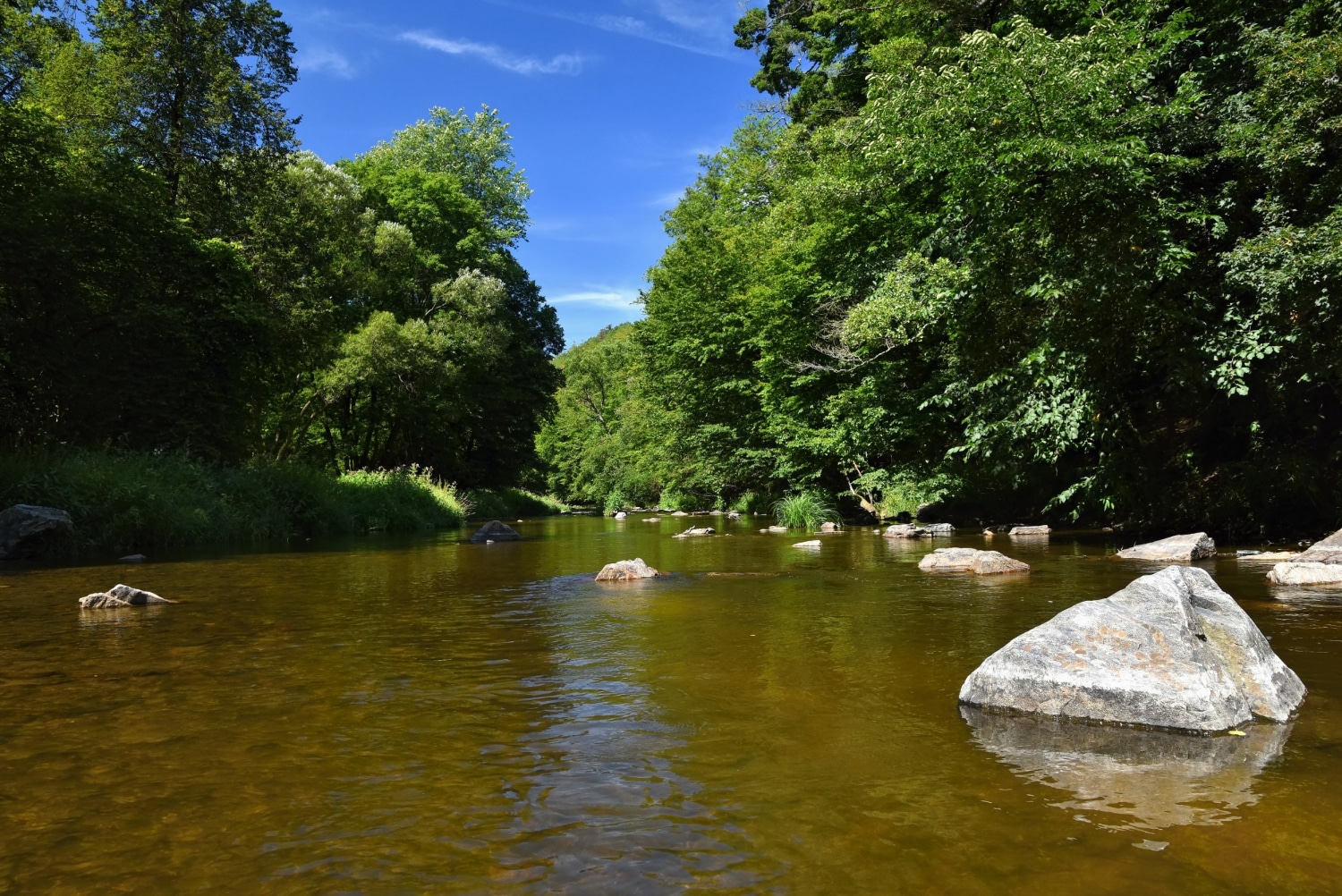 perche parc national