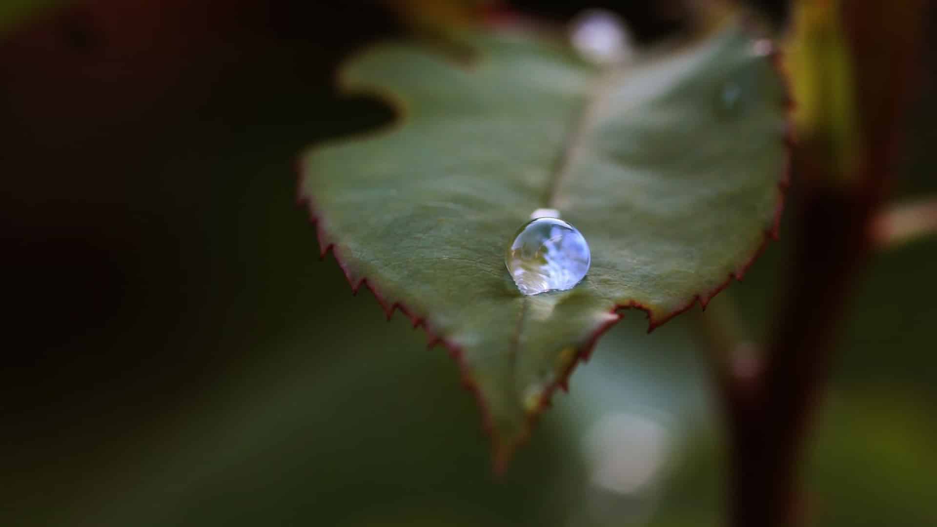 Tout ce que vous devez savoir en 2023 concernant la récupération d'eau de pluie