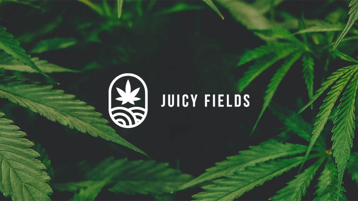 juicy fields