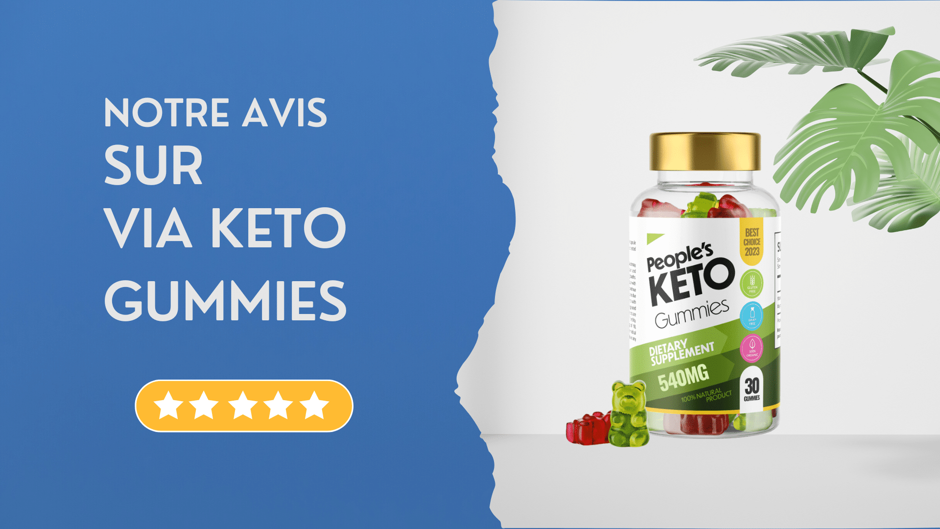 notre avis sur via keto gummies