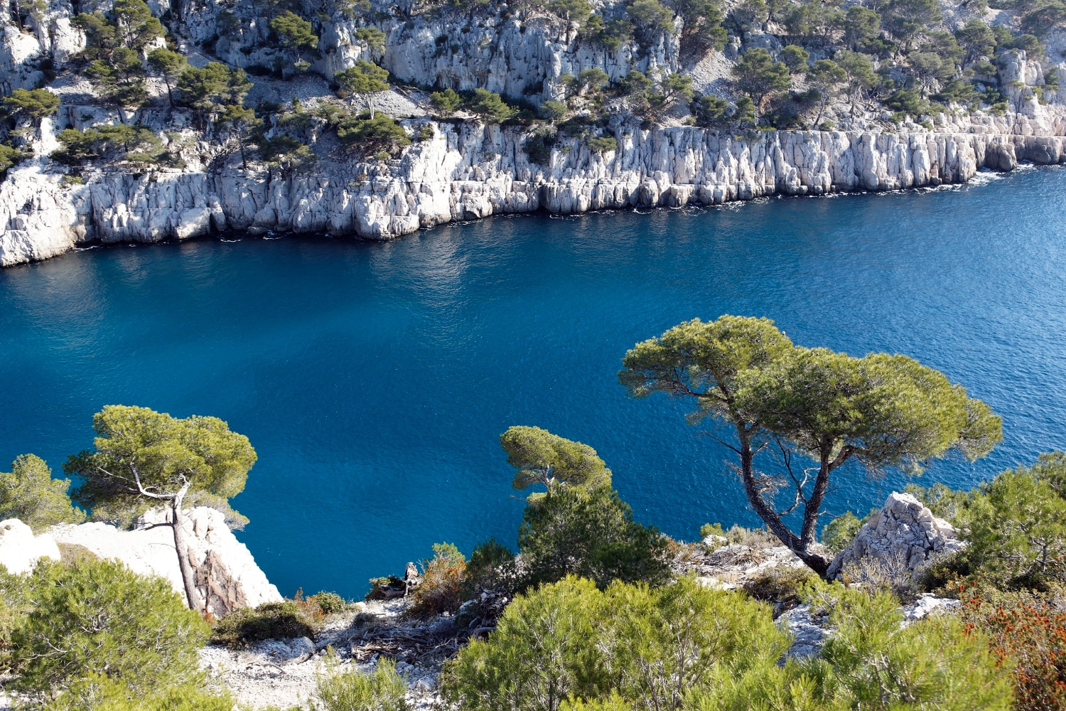 Aventure en Corse : les incontournables à visiter